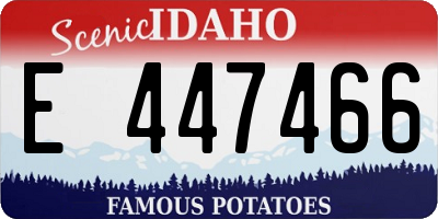 ID license plate E447466