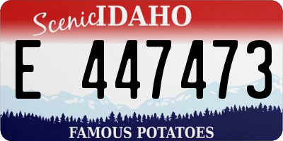 ID license plate E447473