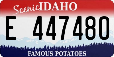 ID license plate E447480