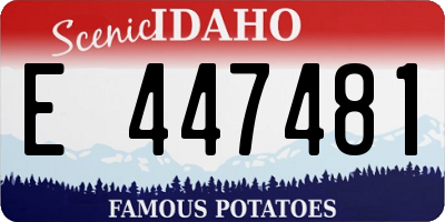 ID license plate E447481