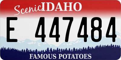 ID license plate E447484