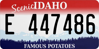 ID license plate E447486