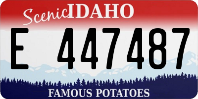 ID license plate E447487