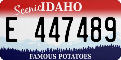 ID license plate E447489