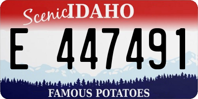 ID license plate E447491