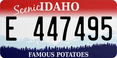 ID license plate E447495