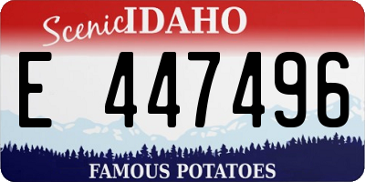 ID license plate E447496