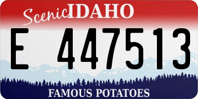 ID license plate E447513