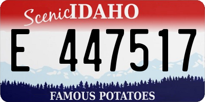 ID license plate E447517