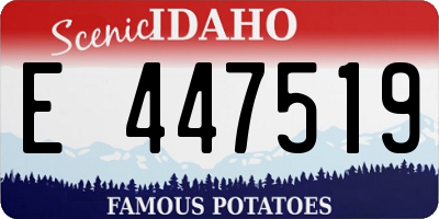 ID license plate E447519