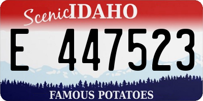 ID license plate E447523