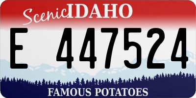 ID license plate E447524