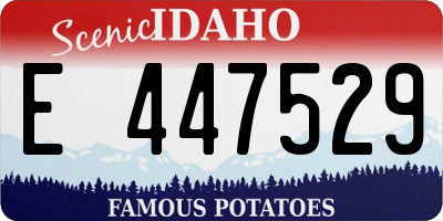 ID license plate E447529