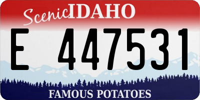 ID license plate E447531