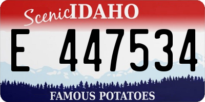 ID license plate E447534