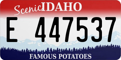 ID license plate E447537