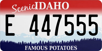 ID license plate E447555