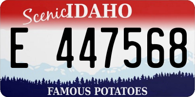 ID license plate E447568