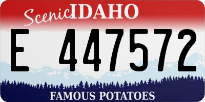 ID license plate E447572
