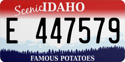 ID license plate E447579