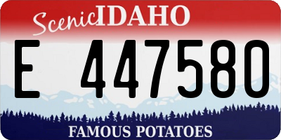 ID license plate E447580