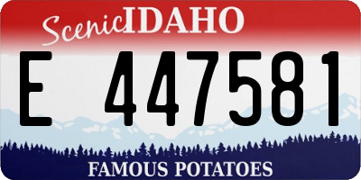 ID license plate E447581