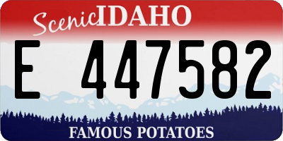 ID license plate E447582