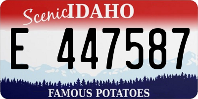 ID license plate E447587