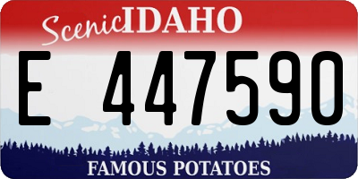 ID license plate E447590