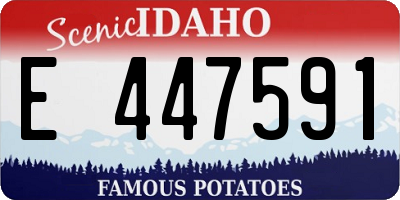ID license plate E447591