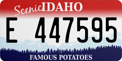 ID license plate E447595