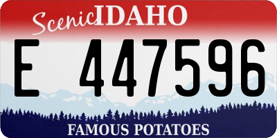 ID license plate E447596