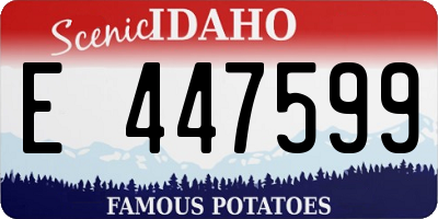 ID license plate E447599