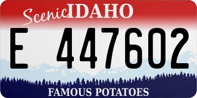 ID license plate E447602