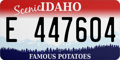 ID license plate E447604