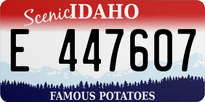 ID license plate E447607