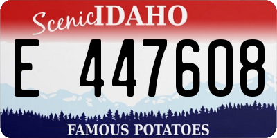 ID license plate E447608