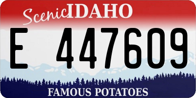 ID license plate E447609
