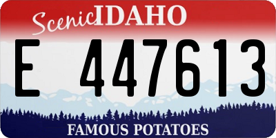 ID license plate E447613