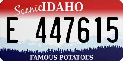 ID license plate E447615