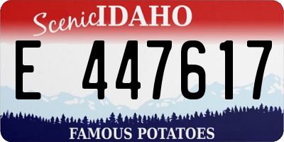 ID license plate E447617
