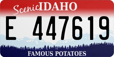 ID license plate E447619