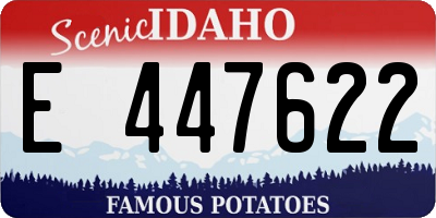 ID license plate E447622