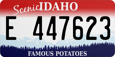 ID license plate E447623