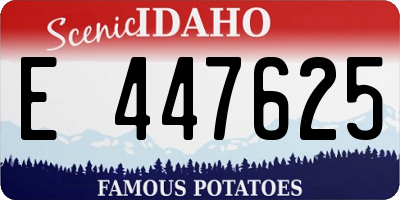 ID license plate E447625