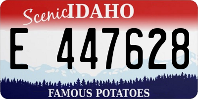 ID license plate E447628