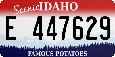 ID license plate E447629