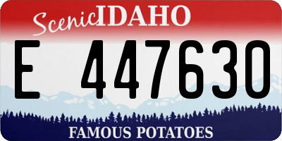 ID license plate E447630