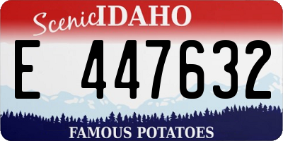 ID license plate E447632