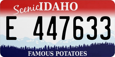 ID license plate E447633